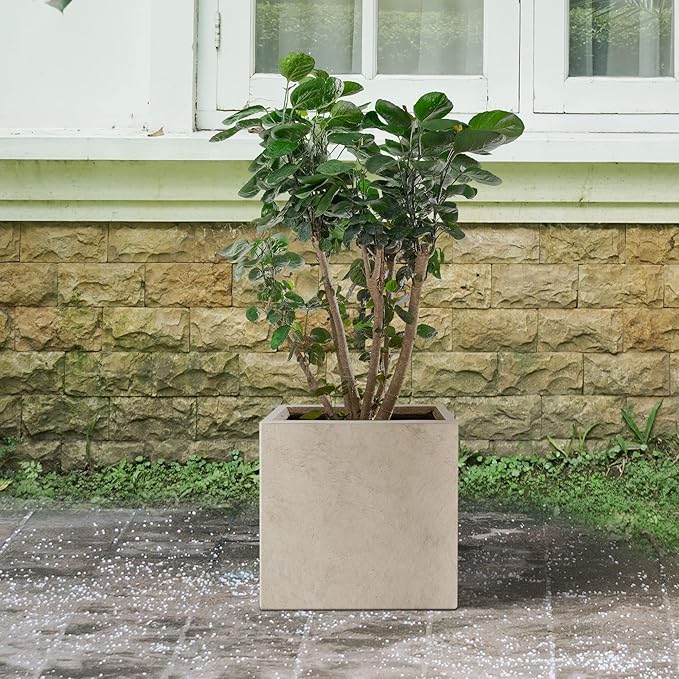 Kante 12 Inch Square Concrete Planter for Outdoor Indoor Home Patio Garden, Large Plant Pot with Drainage Hole and Rubber Plug, Weathered Concrete
