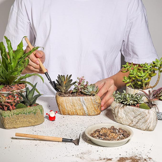 T4U 5.5 Inch Ceramic Succulent Pot Planter with Drainage Hole Set of 3, Stone Shape Rectangle Window Box Cactus Plant Containers Gift for Mom Sister Best for Home Office Table Desk Decoration