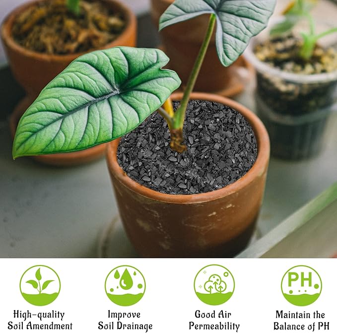 Legigo 8QT All Natural Horticultural Charcoal- Activated Hardwood Plant Charcoal for Soil Amendment, Conditioning Bonsai Soil, Succulent Soil, Terrarium Supplies, Indoor Plant Potting Soil