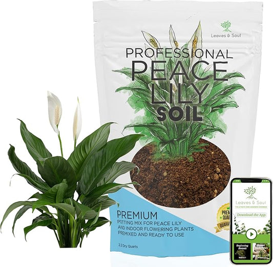 Professional Peace Lily Soil | Large 2.2 Quarts Ready to Use for Peace Lily Plants | Peat Moss, Coco Coir, Perlite, Dolomite | Made in USA