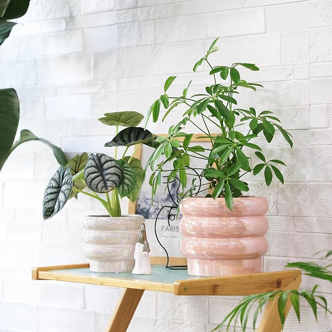 7.8 Inch + 5.7 inch 2 pcs Ceramic Plant Pots for Indoor Plants, Rainbow Pearl Glaze Planter with Planters for Plants with Drainage Hole, Orchid Pots, Succulent Pot, Flower Pot (Pink)