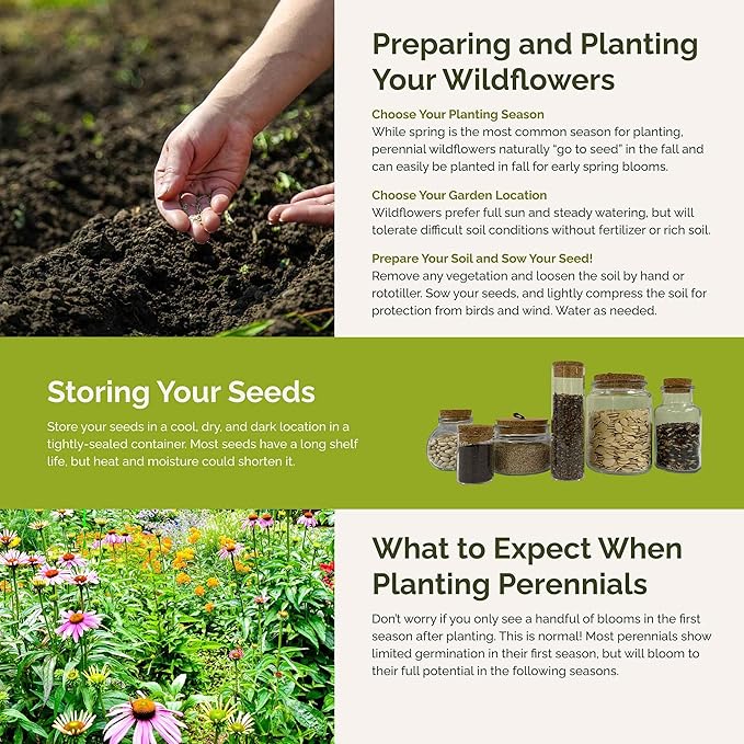 Eden Brothers All Perennial Wildflower Mixed Seeds for Planting, 10 lb, 4,800,000+ Seeds with Lupine, Shasta Daisy | Attracts Pollinators, Plant in Spring or Fall, Zones 3, 4, 5, 6, 7, 8, 9, 10