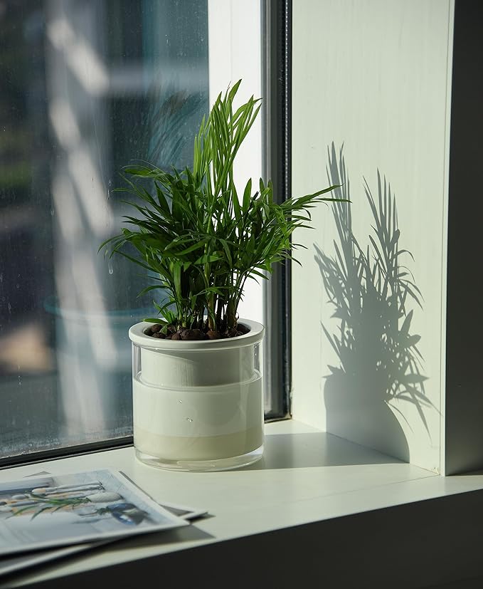 Phoenix Vine 4 Inch Self Watering Planter Pot, Design White Terracotta Pots for Plants, Indoor Cylinder Terra Cotta Pots with Glass Vase, Set of 1, 51-B-E-1