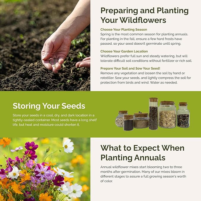 Eden Brothers Crazy for Cosmos Flower Mixed Seeds for Planting, 1/4 lb, 120,000+ Seeds with Cosmos Gloria, Pinkie, Purity | Attracts Pollinators, Plant in Spring or Fall, Zones 3, 4, 5, 6, 7, 8, 9, 10