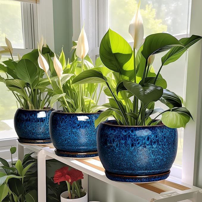 SQOWL 10 Inch Plant Pot - Ceramic Planter Pot with Drainage Hole and Saucer, Decorative Plant Pot for Indoor Outdoor Plants, Round Large Planter Flower Pot, Blue