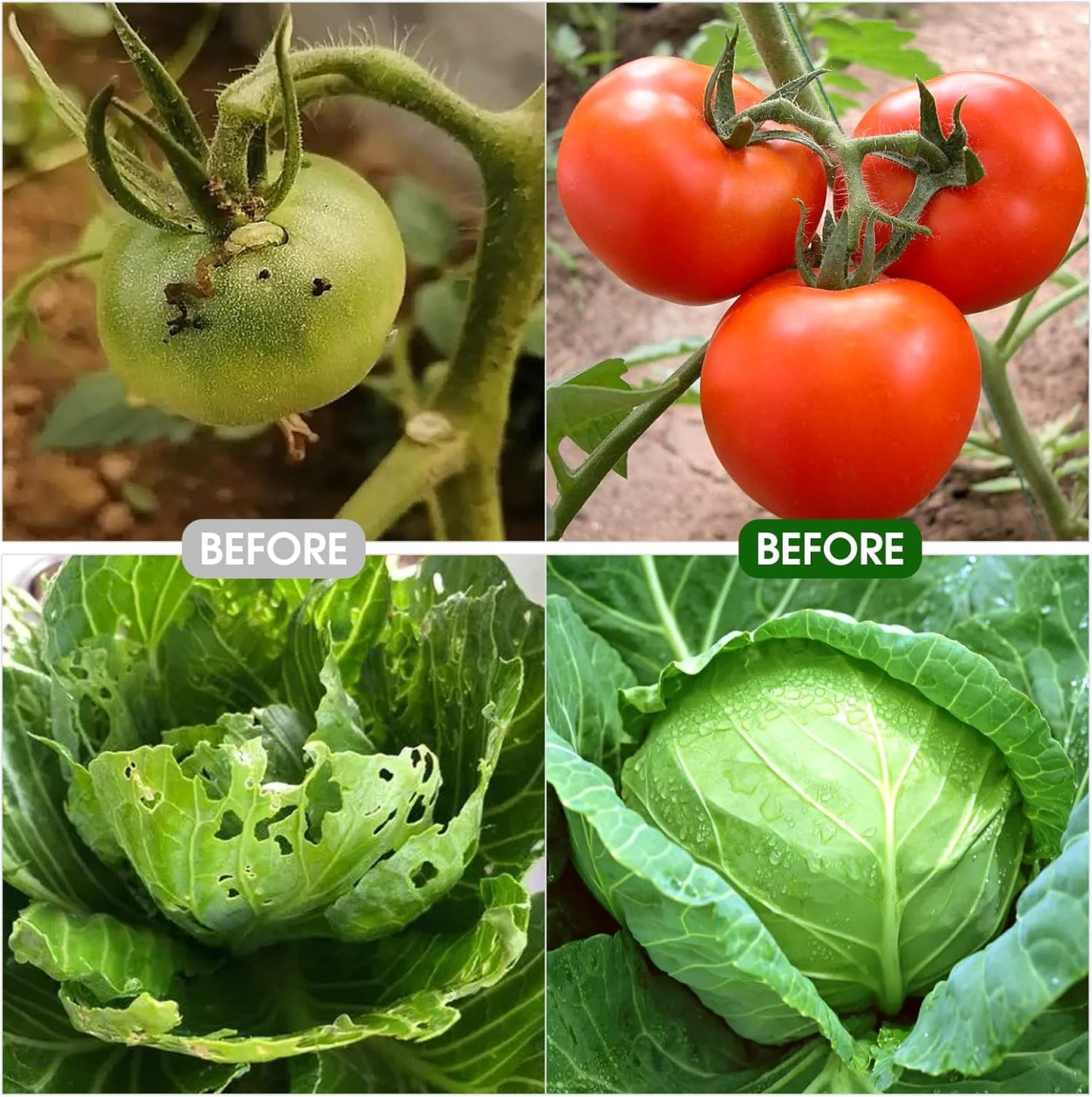 Garden Mesh Netting Kit - 10x30ft Ultra Fine Mesh with 6 Sets Hoops & 12 Clips, Bird Netting Protection for Fruit, Vegetable, Flowers & Animals, Greenhouse Cover