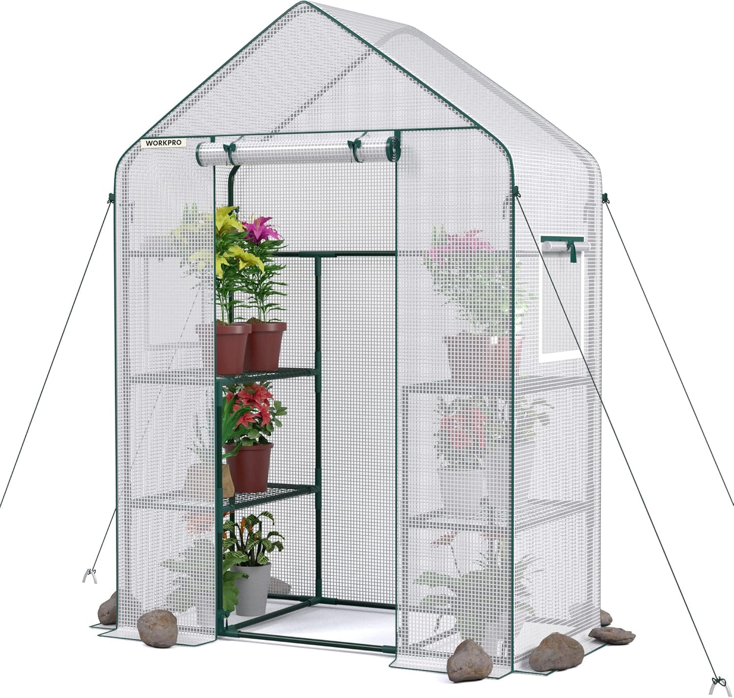 WORKPRO Greenhouse, 56"X 28" X 77" Portable Small Greenhouses for Outdoors & Indoors, Sturdy Green House Kit with Thicken PE Cover, Windows, 3 Tier 4 Shelves for Patio, Backyard, Balcony