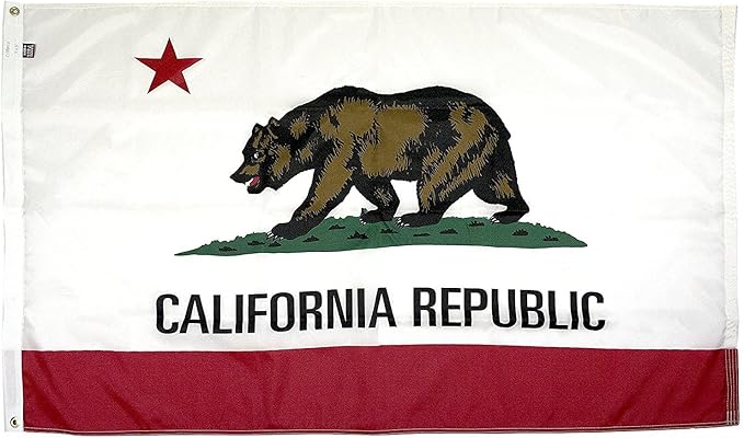 FlagSource California Nylon State Flag, Made in USA, 8x12'