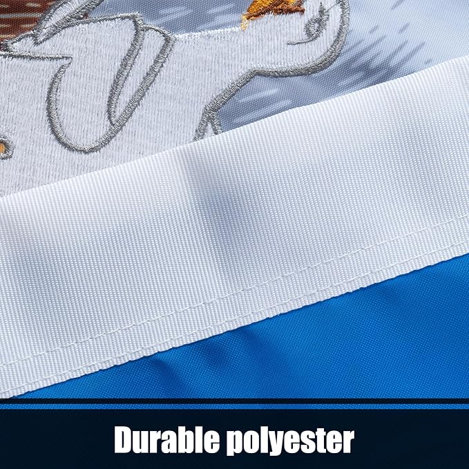 TOPFLAGS Louisiana Flag 4x6 Outdoor LA State Flags Double Sided Embroidered Longest Lasting Heavy Duty Polyester Stronger Brass Grommets 4 Stitched Hemming Perfect for Outside