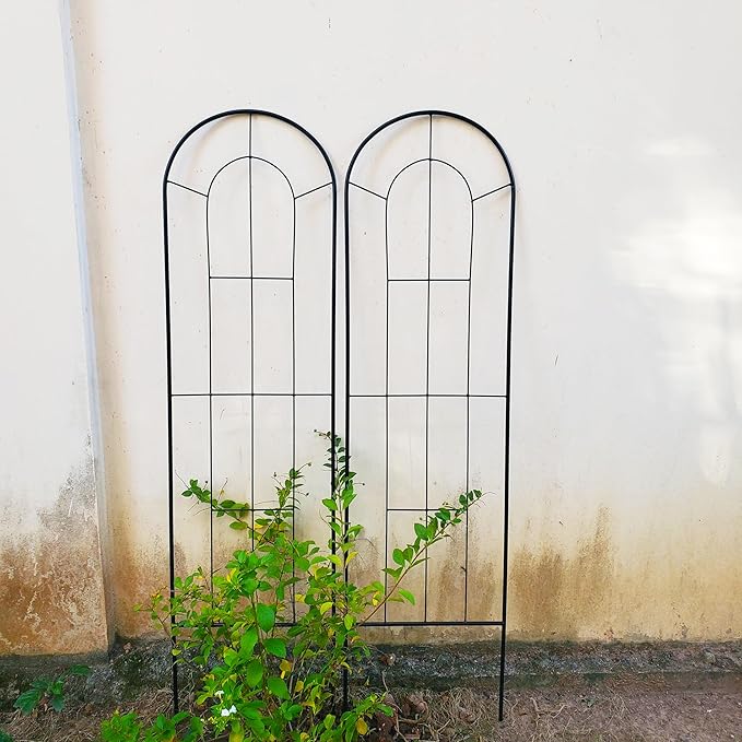 2 Pack Black Garden Trellis for Climbing Plants 59" H x 15.9" W Iron Plant Support Climbing Vines and Flowers Stands Vegetables Patio Metal Lattices Garden Addition Outdoor