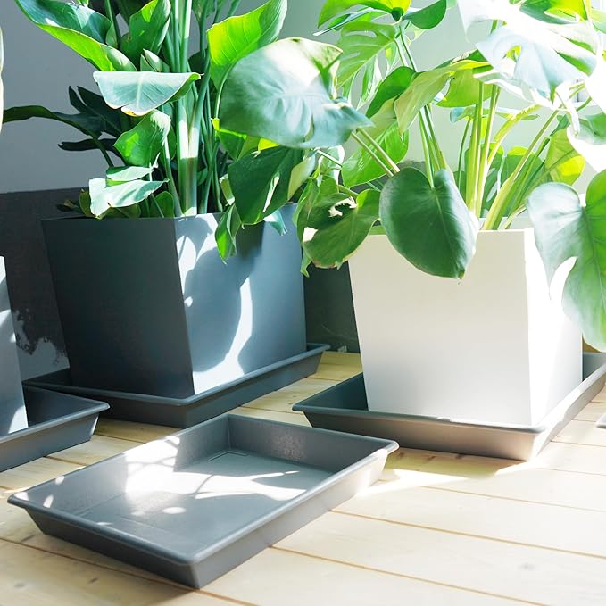 Square Plant Saucer 8 Inch 5 Pack, Plant Stand Plant Trays for Pots Heavy Duty Plastic Gray Plant Saucers for Indoors Outdoors, Flower Pot No Holes Plant Lover Gardening Gifts