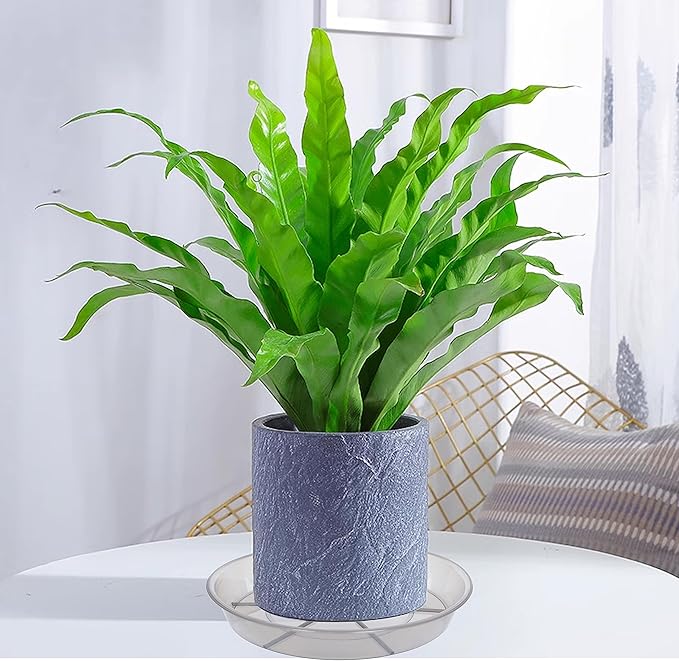 6 Pack Plant Saucer Drip Tray 14 inch, Large Plastic Plant Trays, Heavy Sturdy Plastic Planter Flower Pot Saucers for Indoor Outdoor Garden, Plant Water Drip Trays for pots (14", Grey)