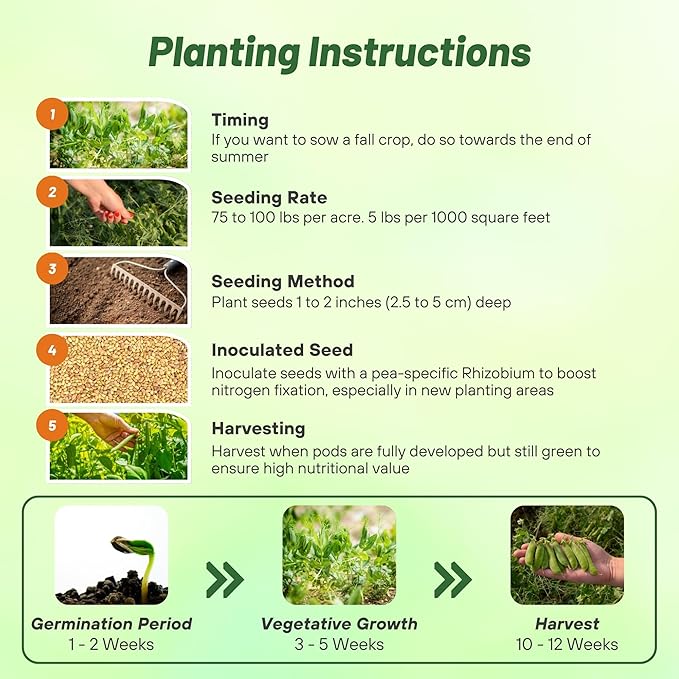 Outsidepride Dundale Spring Field Peas Seeds - 10 lbs. Annual, High-Protein Legume & Cover Crop Seeds for Forage, Food Plot, Gardens & Pastures - Ideal for Improving Soil Health, & Erosion Control