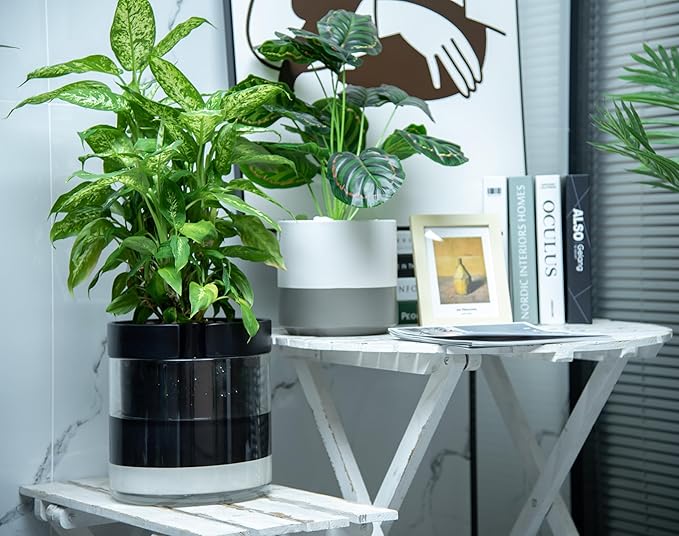 Phoenix Vine 10 Inch Self Watering Terracotta Planter, Black Terracotta Clay Pot with Glass Reservoir for Indoor Plants, Herbs, Flowers, Set of 1, 52-C-I-1