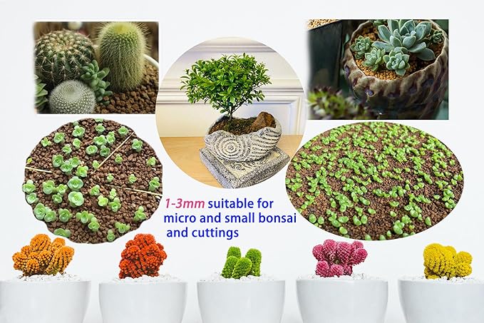 6 lb Extra Small Grain Japanese Super Hard Akadama Bonsai Soil (1-3mm), Indoor/Outdoor Plant Soil Mixture, Drainage and Breathable, Promote Rooting