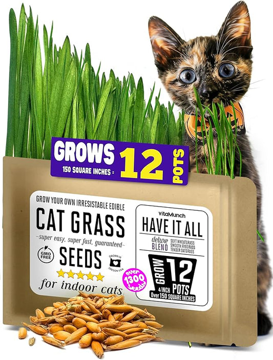 Cat Grass Seeds Deluxe Blend – Tender, Smooth and Chonky – Grows 12 Pots of Fresh Cat Grass for Indoor Cats – Easy & Fast to Grow Small Pack Grows 150 Square inches of Edible cat Grass – Vitamunch