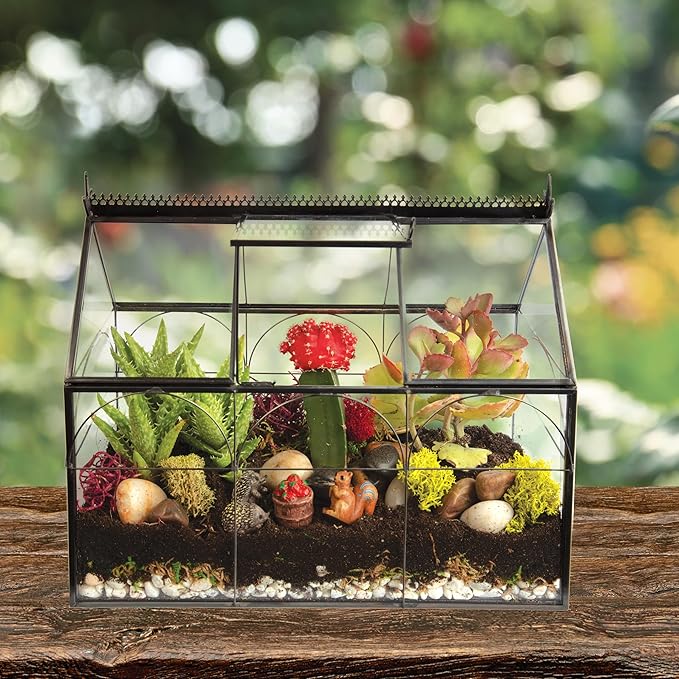 D'Eco Glass Greenhouse Plant Terrarium (10x4.5x9) - Indoor Tabletop Black Hinged Geometric Planter - Succulents, Air Plants, Moss, Fern - Home Garden Office Decor - Gift for Plant Lovers