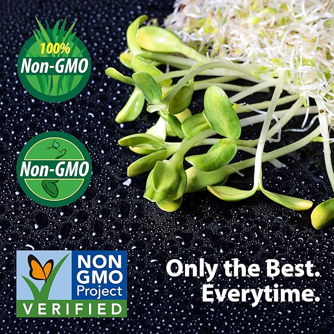 Buckwheat Seeds - 1 Lb ~15,000 Seeds - Organic, Non-GMO, Whole (Shell On) - Grow Buck Wheat Microgreens