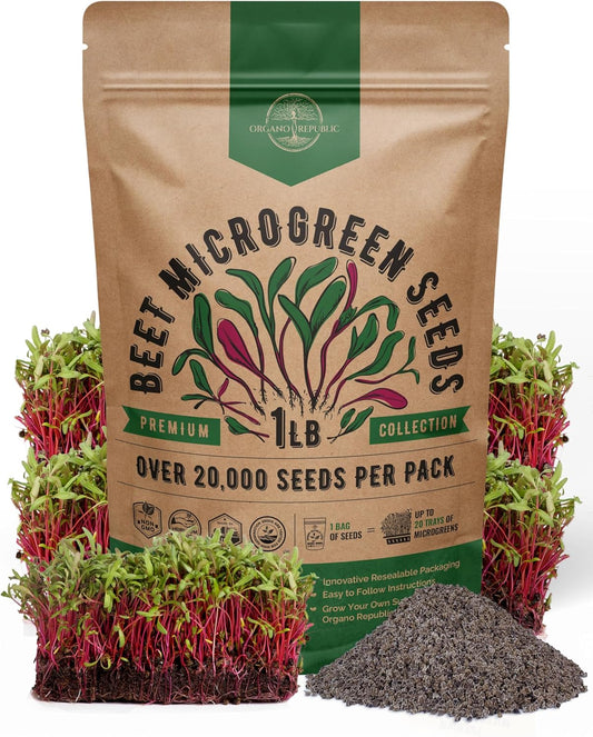 Organo Republic Beet Sprouting & Microgreens Seeds - 20,000 Non GMO Heirloom Seeds, Sprouts in Bulk 1lb Resealable Bag for Planting and Growing in Soil, Coconut Coir, Aeroponic & Hydroponic System