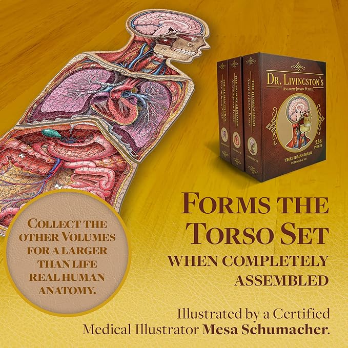 Human Thorax Anatomy Puzzle - Adult Jigsaw Puzzles Unique Gifts for Kids, Nurses, Doctors, Medical Students, Educational Science - 411 Piece Teen Floor Puzzle - Genius Games Dr. Livingston Body Model