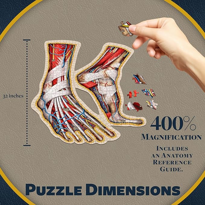 Dr. Livingston's Human Feet Anatomy Puzzle - A Medically Accurate Jigsaw Puzzle of The Feet - Educational Toy of The Human Body - Unique Shaped Puzzle for Doctors, Nurses and Medical Students