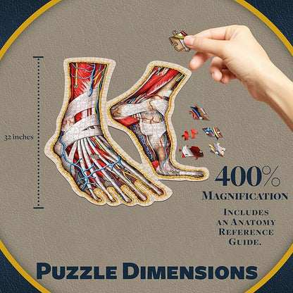 Dr. Livingston's Human Feet Anatomy Puzzle - A Medically Accurate Jigsaw Puzzle of The Feet - Educational Toy of The Human Body - Unique Shaped Puzzle for Doctors, Nurses and Medical Students
