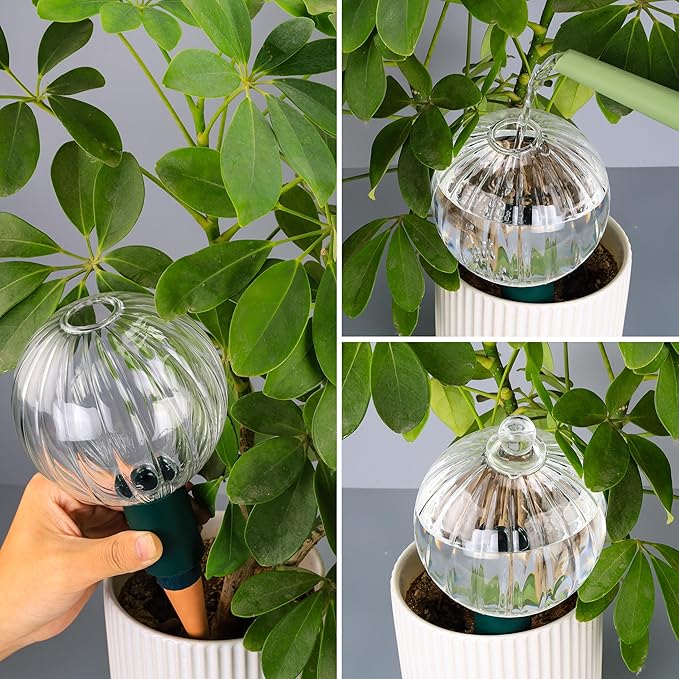 23 oz Extra Large Plant Watering Globes Top Fill, Clear Glass Water Bulbs with Terracotta Spikes Adapter, Slow Release Vacation Plant Watering Devices, Automatic Drip Irrigation, 2 Pack