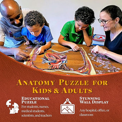 Human Thorax Anatomy Puzzle - Adult Jigsaw Puzzles Unique Gifts for Kids, Nurses, Doctors, Medical Students, Educational Science - 411 Piece Teen Floor Puzzle - Genius Games Dr. Livingston Body Model