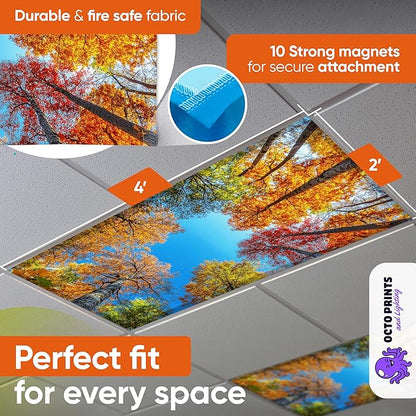 Fluorescent Light Covers for Ceiling Lights - 4 Seasons Magnetic Cover for Fluorescent Or LED Fixture - Must Haves Teacher Supplies - Classroom, Home, Office Cubicle Decor - Filters Overhead Lighting