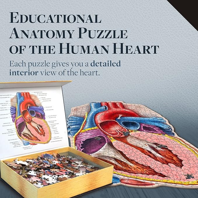 Dr. Livingston's Human Heart Anatomy Puzzle - A Medically Accurate Jigsaw Puzzle of the Heart Section - Educational Organ Puzzle for Teens & Adults - Unique Science Gift for Doctors, Nurses & Teachers