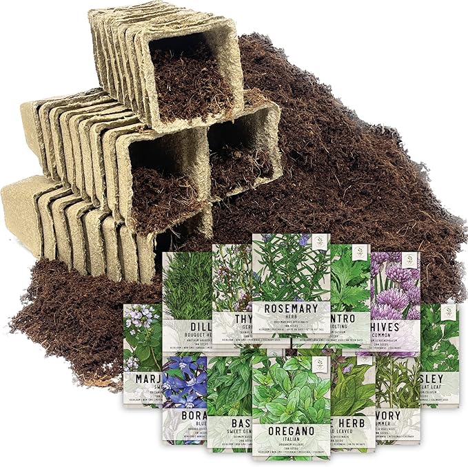 Seed Needs, Culinary Herb Seed Packet Collection Seed Starting Bundle (Includes 12 Individual Seed Packets, 36 Starter Pots & 1 Expandable Coco Coir Brick) Heirloom, Non-GMO, Untreated