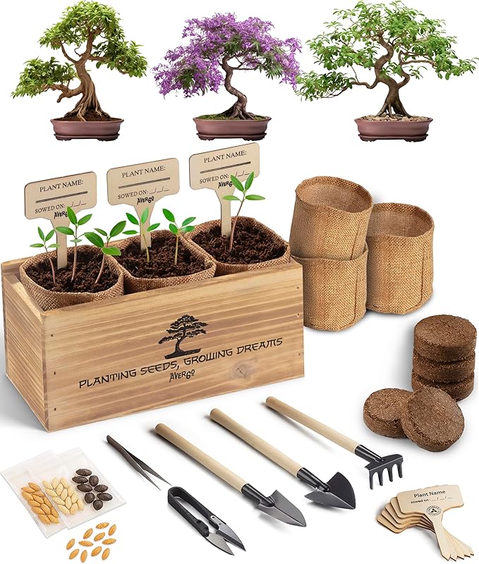 Bonsai Tree Kit – 3X Unique Japanese Bonzai Trees | Complete Indoor Starter Kit for Growing Bonsai Plants with Tools & Planters – Gardening Gifts for Women & Men