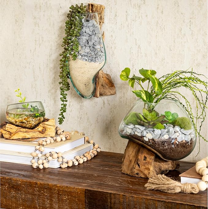 Cape Craftsmen 10" H Hand-Blown Blue Tinted Bubble Glass On Natural Teak Driftwood Terrarium | Home Décor Indoor Planter with Stand | Pot for Succulent and Plants