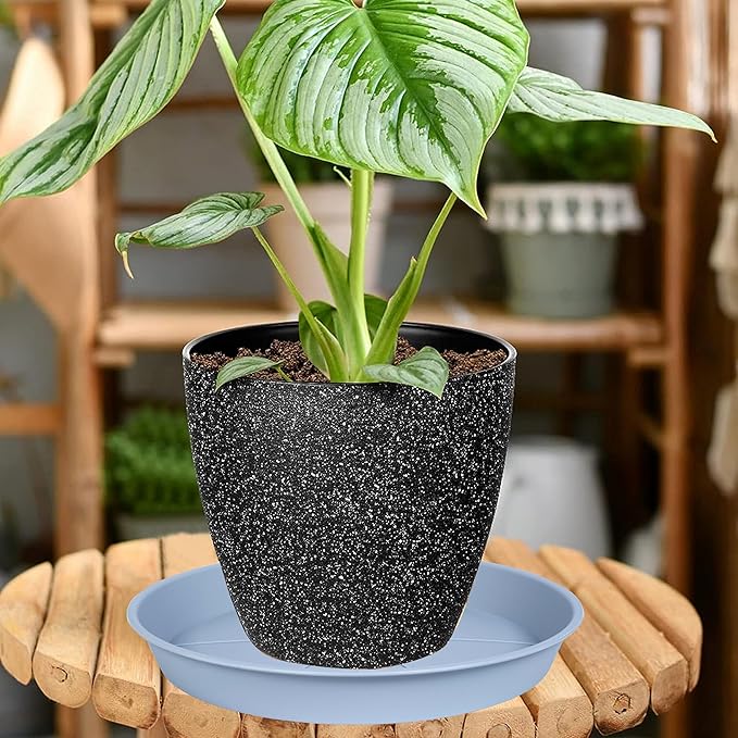 6 Pack of Plant Saucer Tray 4 6 8 10 12 14 17 19 22 25 inch, Heavy Duty Plastic Pot Plant Drip Trays Saucers for for Indoors Outdoor, Plant Water Tray for Planters 3-5" (4", Light Gray)