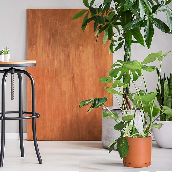 D'vine Dev Medium 8 Inch Terracotta Plant Pot with Drainage Hole and Saucer, Round Cylinder Planter Pot for Indoor Plants, Set of 2, 40-X-B-4