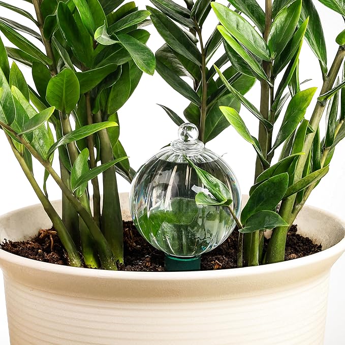 23 oz Extra Large Plant Watering Globes Top Fill, Clear Glass Water Bulbs with Terracotta Spikes Stake, Vacation Slow Release Self Watering Planter Insert, Automatic Drip Device, 1 Pack
