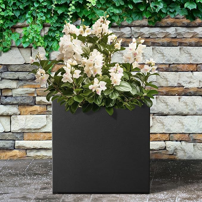 Kante 12 Inch Square Concrete Planter for Outdoor Indoor Home Patio Garden, Large Plant Pot with Drainage Hole and Rubber Plug, Black