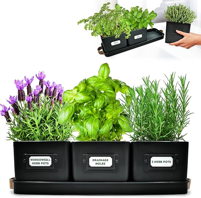 Herb Planter Indoor - Set of 3 Black Indoor Herb Garden Pots for Plants with Leather Handled Tray - Window Sill Plant Shelf - Herb Pots with Drainage Holes and Labels