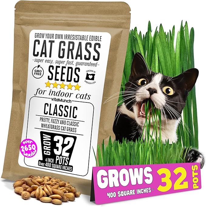 Cat Grass Seeds – Soft, Tasty Wheatgrass – Grows 32 Pots of Fresh Cat Grass for Indoor Cats & Kittens – Easy & Fast to Grow – Bulk Rescuer's Pack Grows 400 Square inches of Edible cat Grass Vitamunch