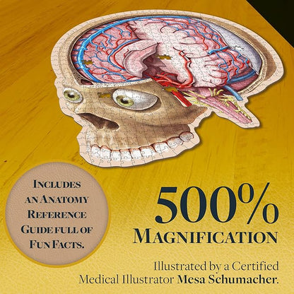 Dr. Livingston's Human Brain Anatomy Puzzle - A Medically Accurate Jigsaw Puzzle of The Brain Section - Educational Organ Toy for Teens & Adults - Unique Science Gift for Doctors, Nurses & Teachers