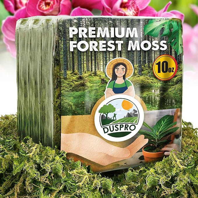DUSPRO 10oz Dried Forest Moss for Potted Plants, Ideal for Orchid Moss Potting Mix Indoor Moisture Repotting Orchid Soil Medium, Terrarium Decor, Natural Reptile Vine
