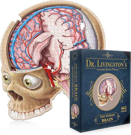 Dr. Livingston's Human Brain Anatomy Puzzle - A Medically Accurate Jigsaw Puzzle of The Brain Section - Educational Organ Toy for Teens & Adults - Unique Science Gift for Doctors, Nurses & Teachers