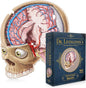 Dr. Livingston's Human Brain Anatomy Puzzle - A Medically Accurate Jigsaw Puzzle of The Brain Section - Educational Organ Toy for Teens & Adults - Unique Science Gift for Doctors, Nurses & Teachers