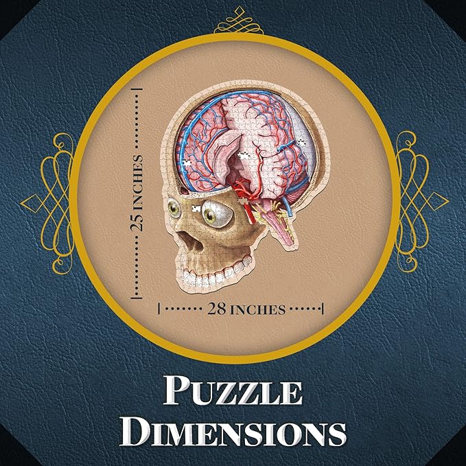 Dr. Livingston's Human Brain Anatomy Puzzle - A Medically Accurate Jigsaw Puzzle of The Brain Section - Educational Organ Toy for Teens & Adults - Unique Science Gift for Doctors, Nurses & Teachers