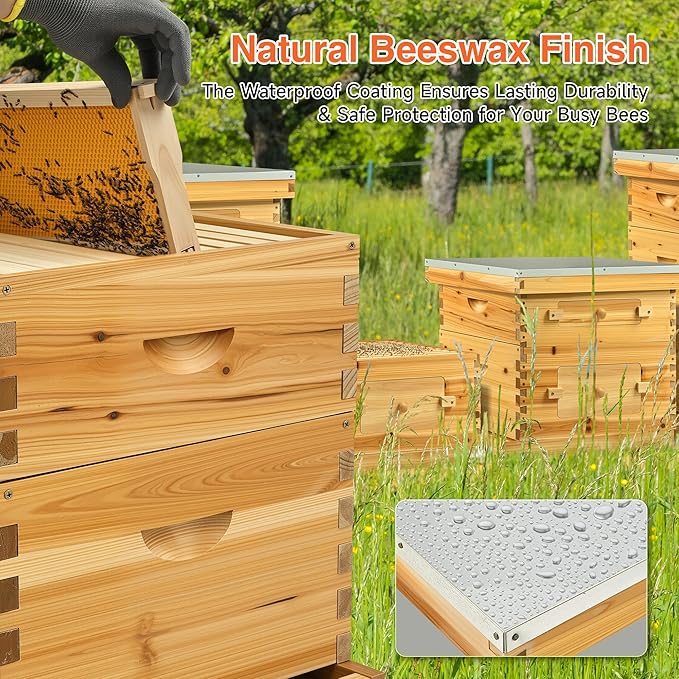 CREWORKS 10 Frame Bee Hive, 2 Layers Beeswax Coated Beehive Starter Kit with Frames & Foundations, Langstroth Bees Hives Box with Transparent Acrylic (Window Medium Box & Deep Box)