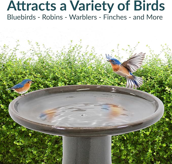 Sunnydaze 21" H Ceramic Bird Bath for Outside - Hand-Painted Outdoor Bird Bath Bowl, UV/Frost-Resistant Finish - Dusty Rose - Classic Pedestal