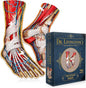 Dr. Livingston's Human Feet Anatomy Puzzle - A Medically Accurate Jigsaw Puzzle of The Feet - Educational Toy of The Human Body - Unique Shaped Puzzle for Doctors, Nurses and Medical Students