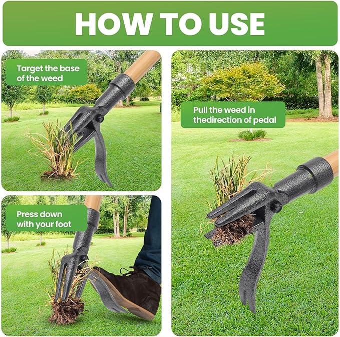 Weed Puller Tool Stand Up Weed Puller Tool with 3-Section Bamboo Handle & 4-Claw Steel Head Manual Weeder for Lawn and Garden (Bamboo)