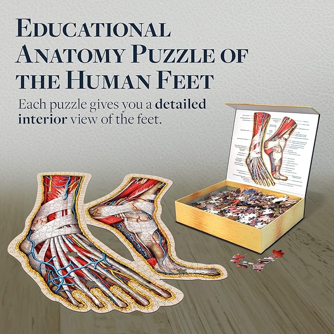 Dr. Livingston's Human Feet Anatomy Puzzle - A Medically Accurate Jigsaw Puzzle of The Feet - Educational Toy of The Human Body - Unique Shaped Puzzle for Doctors, Nurses and Medical Students