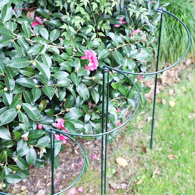 TCBWFY 10 Pack Plant Support Stakes for Peony,10" Widex24 High Heavy Duty 4.5mm Peony Cages and Support,Metal Peony Supports for Outdoor Indoor Plants,Plant Supports for Peony